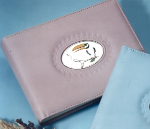 PRATA ALBUM CRIANÇA