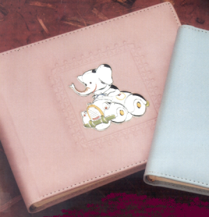 PRATA ALBUM CRIANÇA